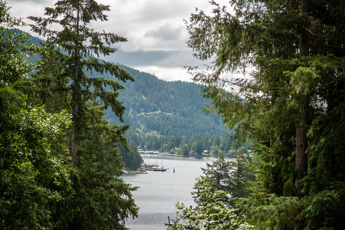 Ocean view of Pender Harbour framed by evergreen trees